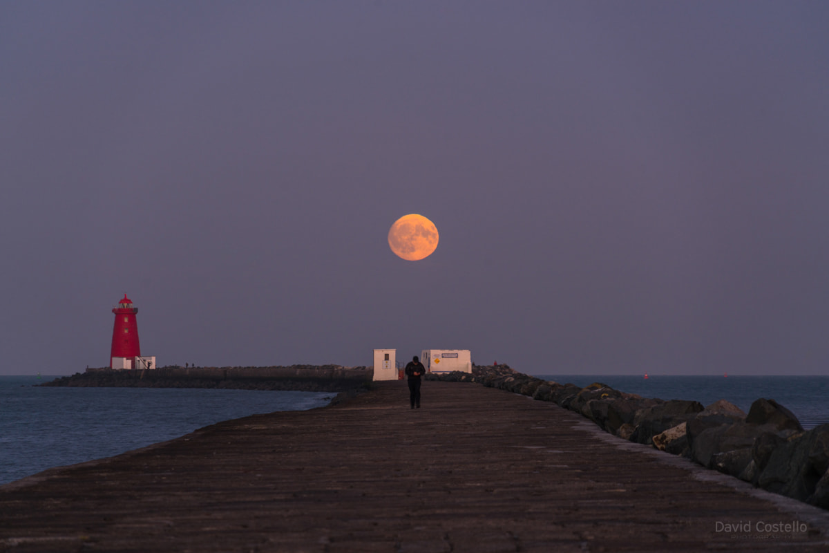 On the Great South Wall you can usually walk to the half moon, on this evening you could walk to the full moon too.