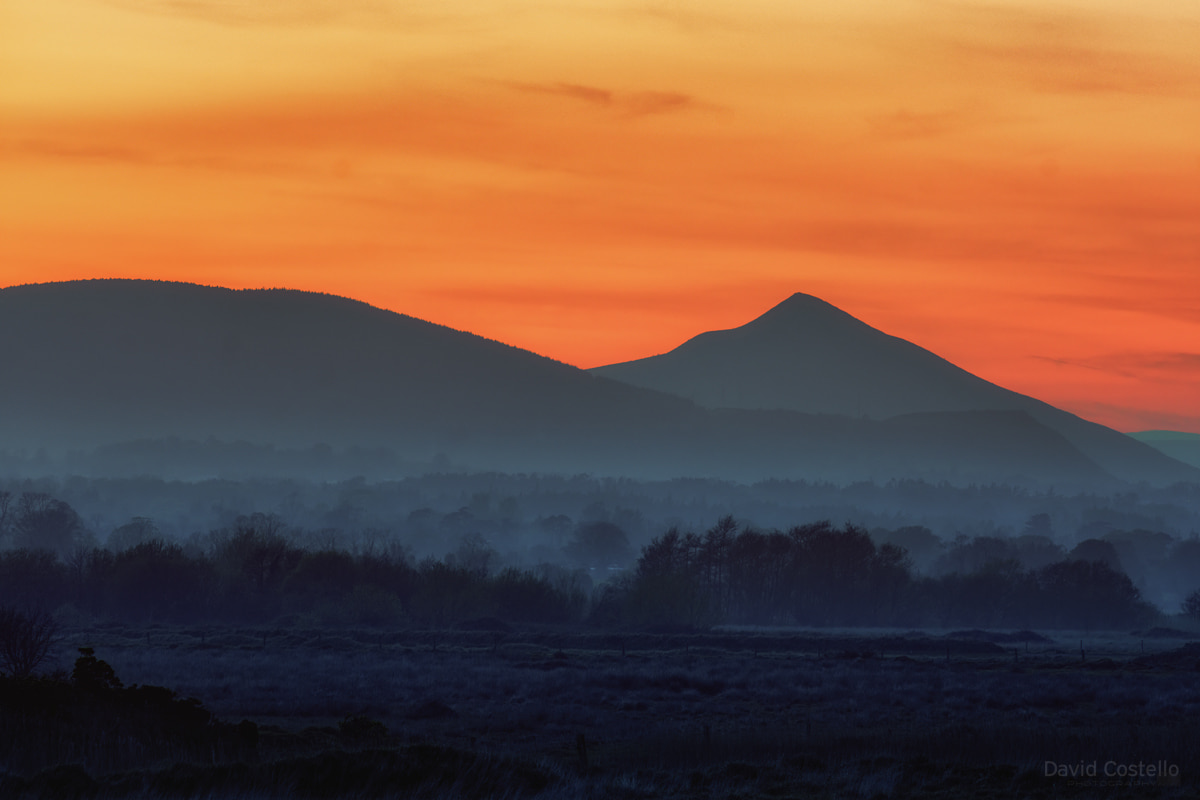 The sun sets in Wicklow, mist rises across the fields towards the Great Sugar Loaf mountain and the sky turns to fire.