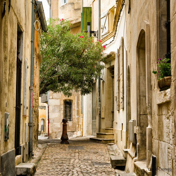 A narrow street in Avignon looking along the cobblestone path towards a tree with red flowers on it.