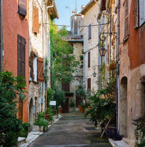 plants and hanging baskets along a renaissance street in Vence.