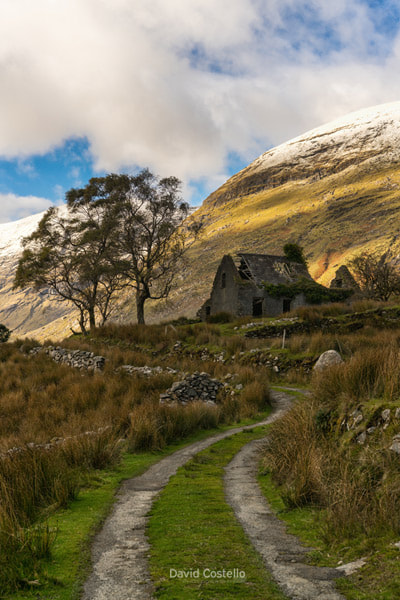 Deep in The Black Valley the first snow of autumn falls along the Macgillycuddy's Reeks above Molly's cottage.